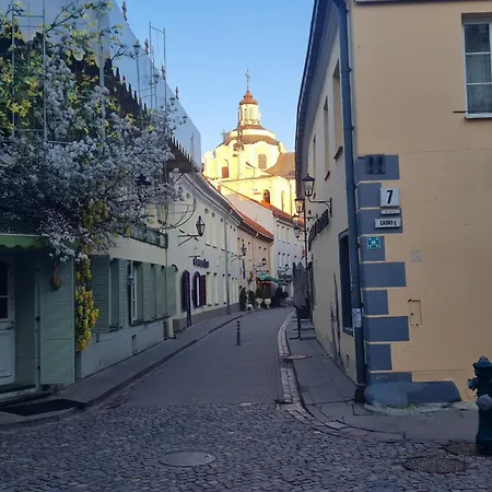 Rehouse, Antokolskio 13 * Vilnius