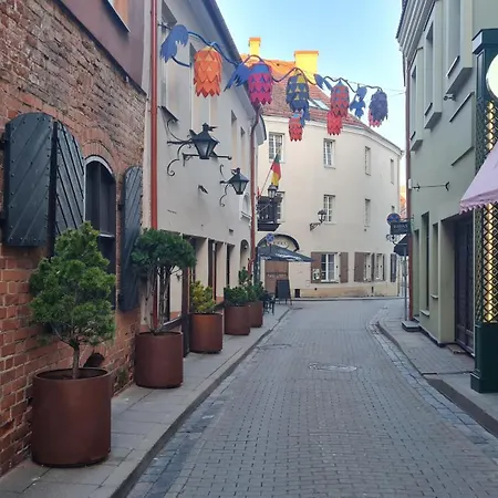 Rehouse, Antokolskio 13 公寓