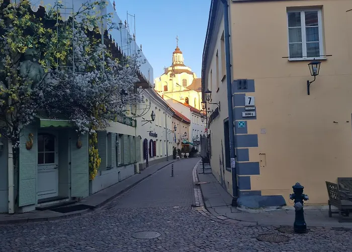 Rehouse, Antokolskio 13 * Vilnius